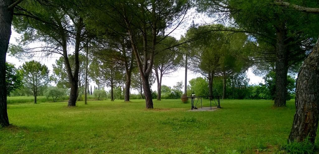 Agriturismo Podere Caggiolo - Swimming Pool & Air Conditioning Marciano della Chiana Exterior photo